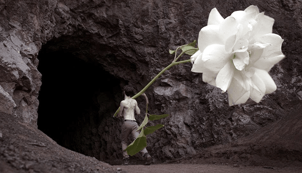 O amor é a arte de se agarrar na vida