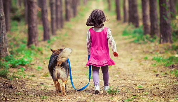 “Dê seu coração a um cão, e ele lhe dará o dele”