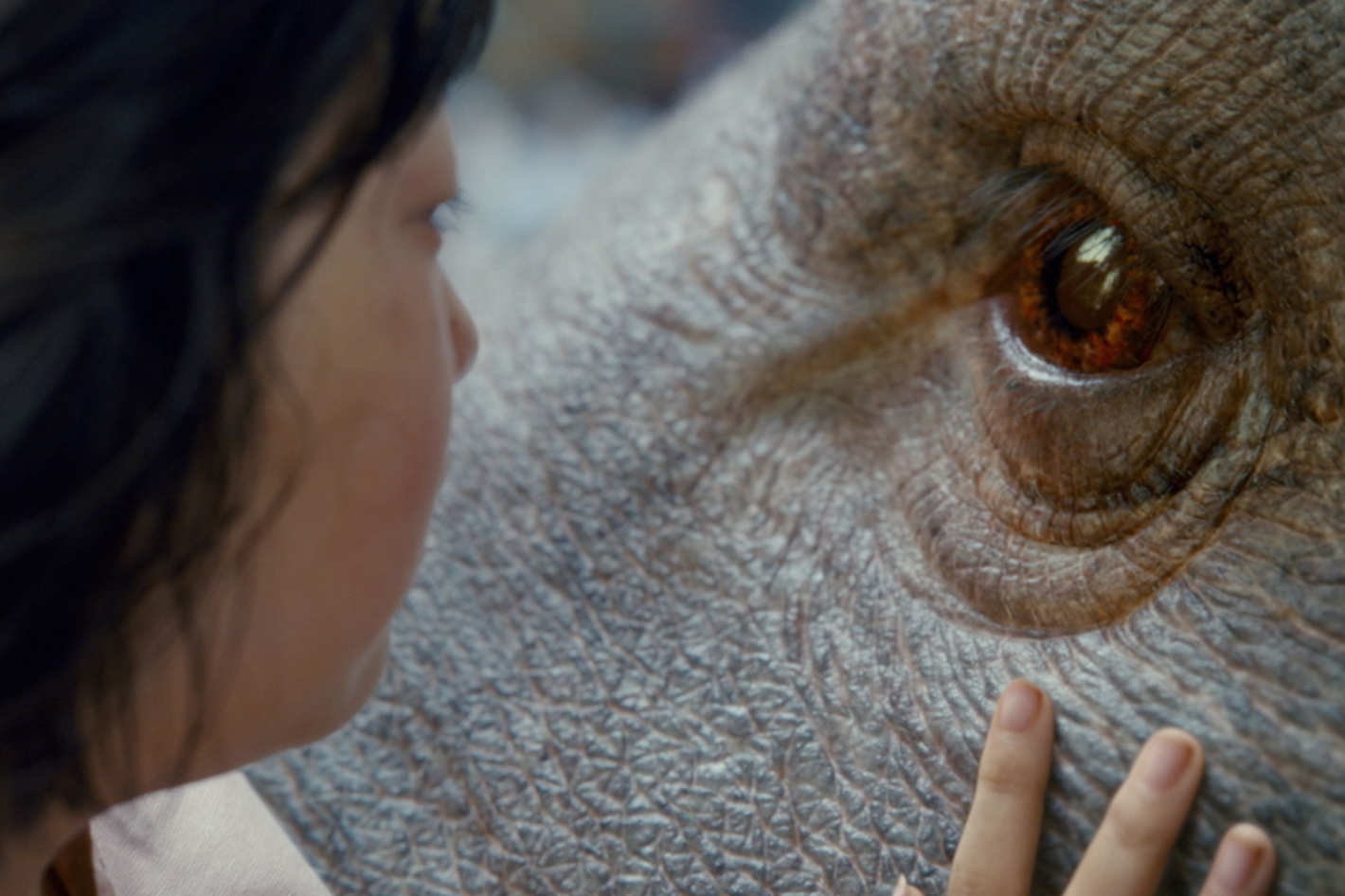 Okja 