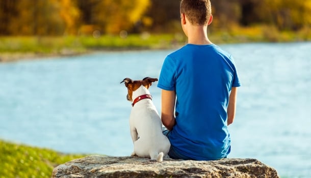 Para quem já passou pelo desgosto de chorar a morte de um cão