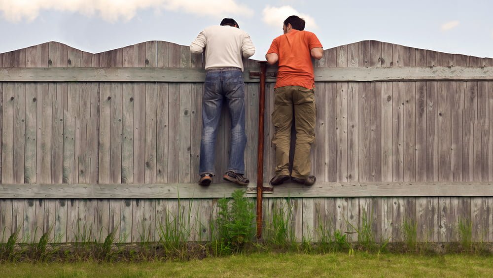 Viver em cima do muro é prejudicial à saúde Revista Bula