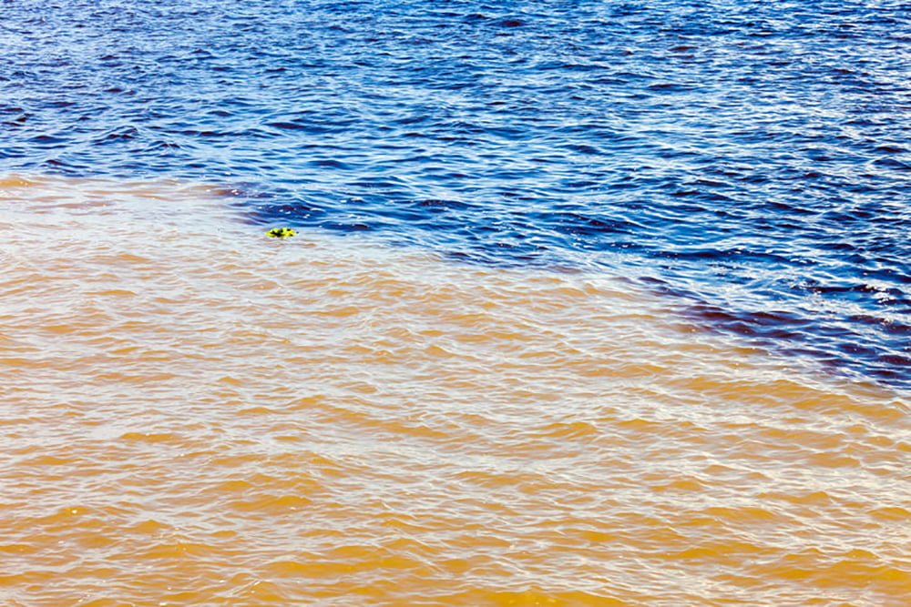 Amazonas
