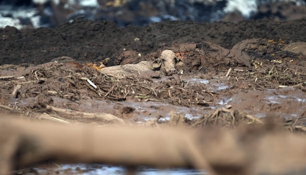 O rompimento da barragem de Brumadinho não é acidente: é crime praticado pelas mineradoras e políticos