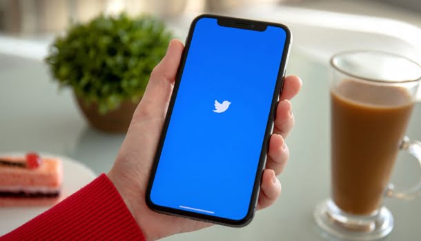 99 mulheres essenciais do Twitter no Brasil em 2019