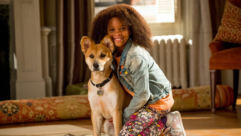 Annie (2014), Will Gluck