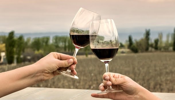 Os melhores vinhos argentinos