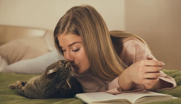 Ser gateiro é mais do que gostar de gatos, é ser um feliz escravo deles