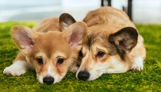 Cuida bem de quem te ajuda a colocar os pés de volta ao chão