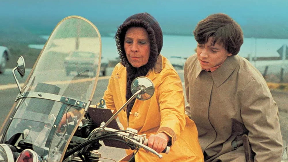 Ensina-me a Viver (1971), Hal Ashby