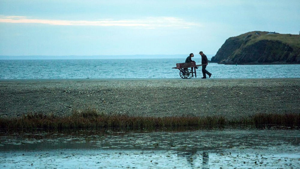 Maudie: Sua Vida e Sua Arte (2016), Aisling Walsh