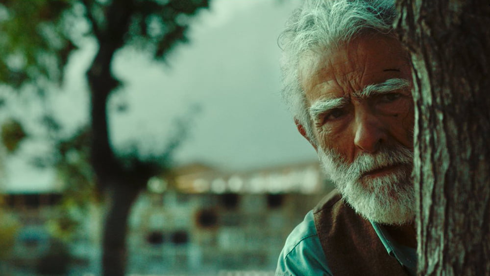 Os Versos do Esquecimento (2017), Alireza Khatami