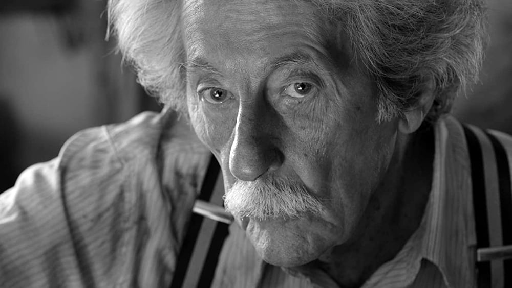 O Artista e a Modelo (2012), Fernando Trueba