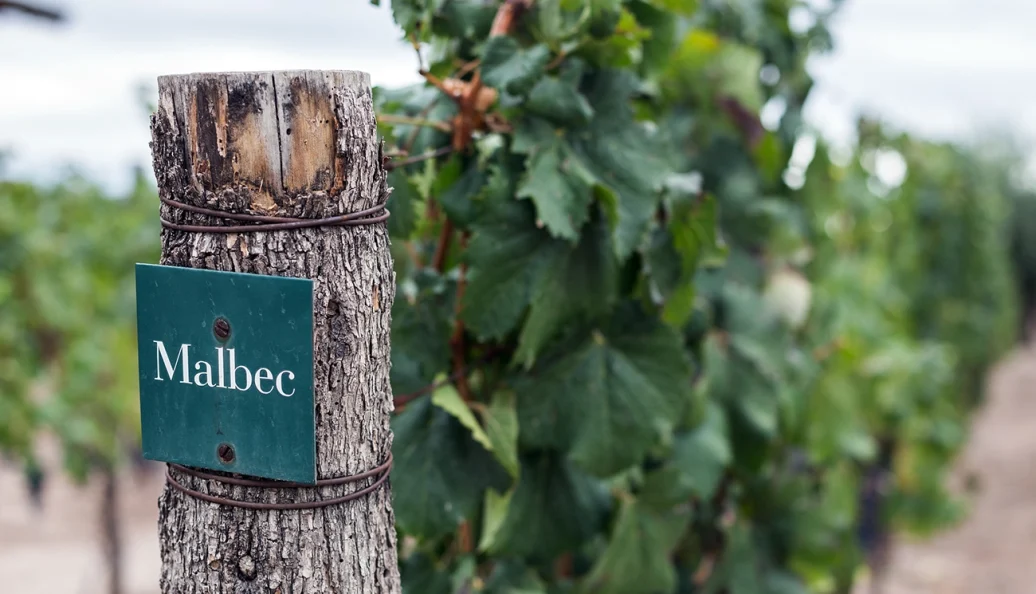 Malbec