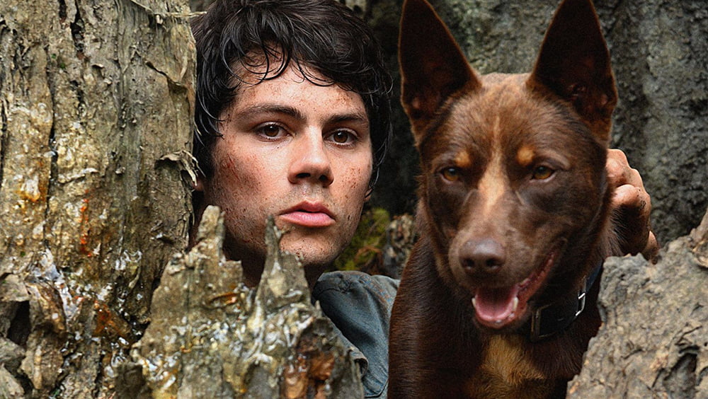 Amor e Monstros (2021), Michael Matthews