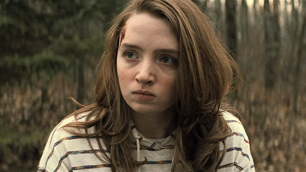 Fuja (2020), Aneesh Chaganty