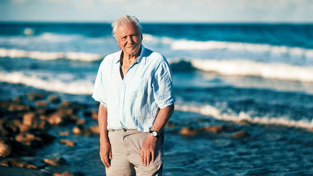 David Attenborough: A Life on Our Planet (2020), Alastair Fothergill e Jonathan Hughes