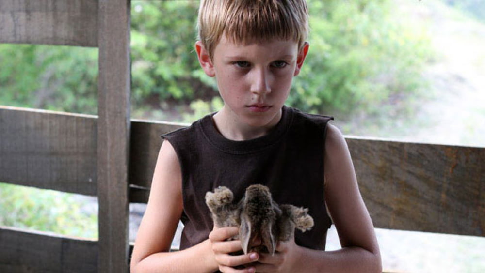 O Garoto Sombrio (2015), Craig William Macneill