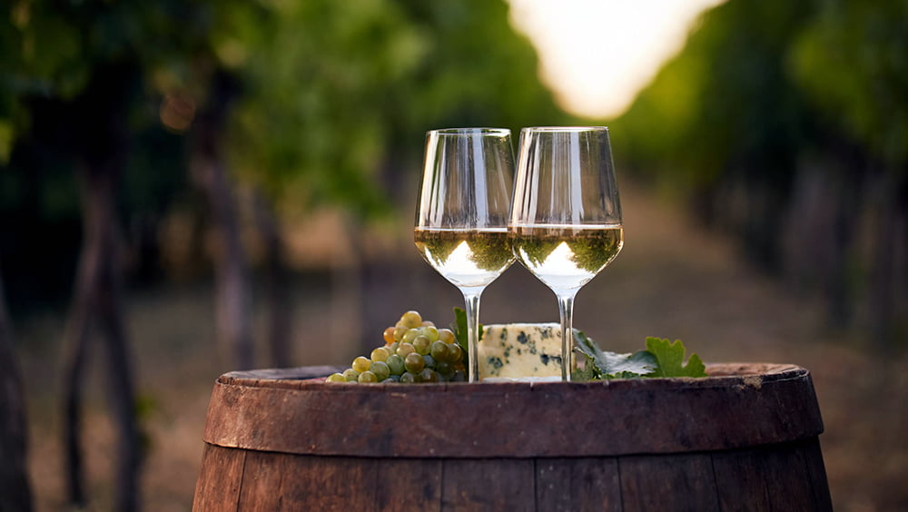 vinhos brancos magníficos