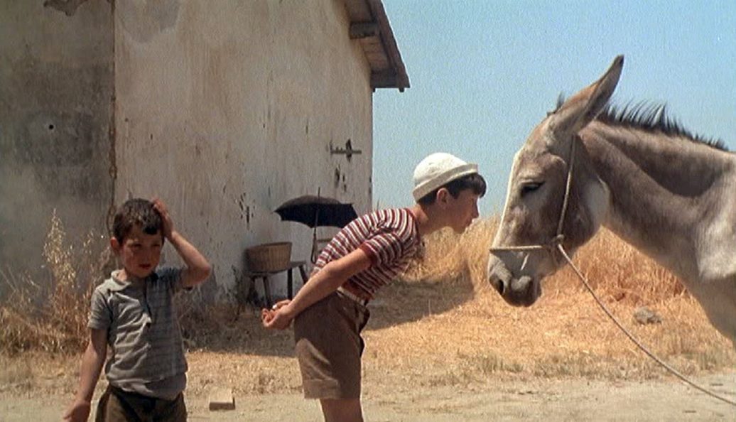 Amarcord (1973), Federico Fellini