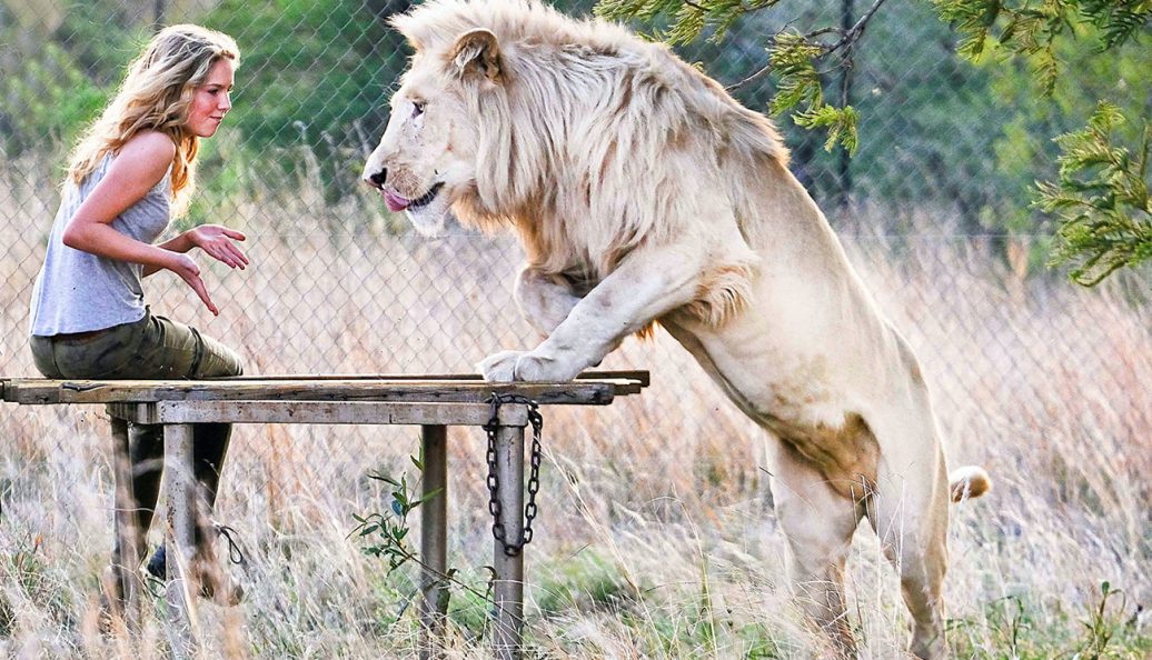 A Menina e o Leão (2018), Gilles de Maistre