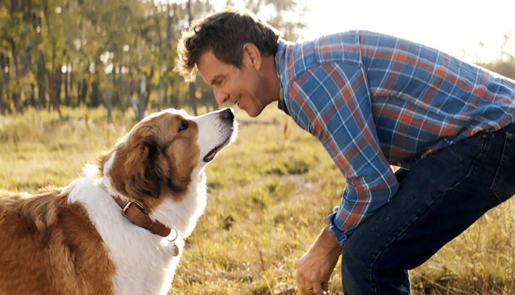 Juntos Para Sempre (2019), Gail Mancuso