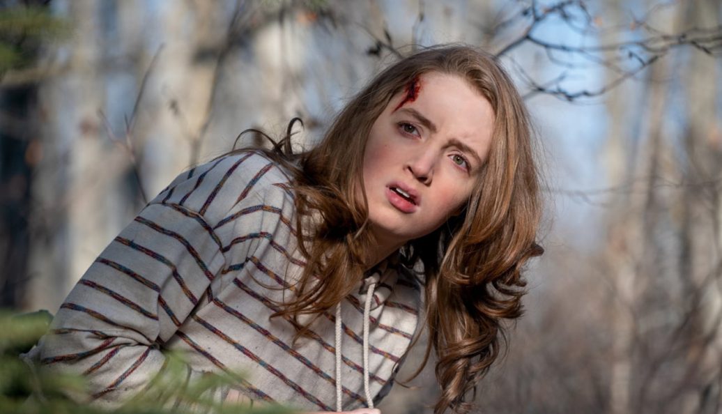 Fuja (2020), Aneesh Chaganty