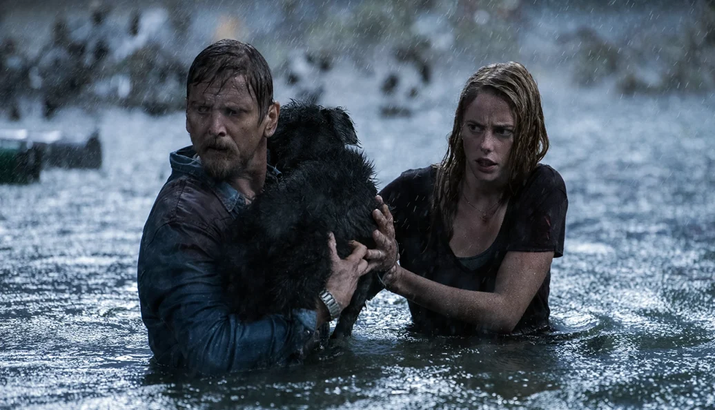 Predadores Assassinos