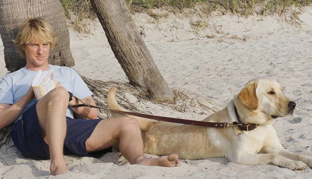 Marley & Eu (2008), David Frankel