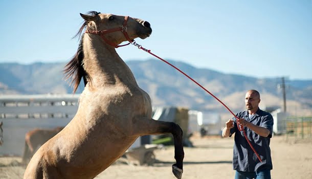 5 filmes na Netflix que você ainda não viu, mas valem cada segundo e vão salvar sua semana