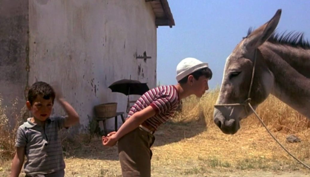 Amarcord (1973), Federico Fellini