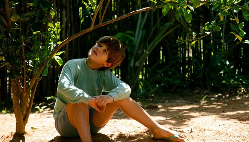 Meu Pé de Laranja Lima