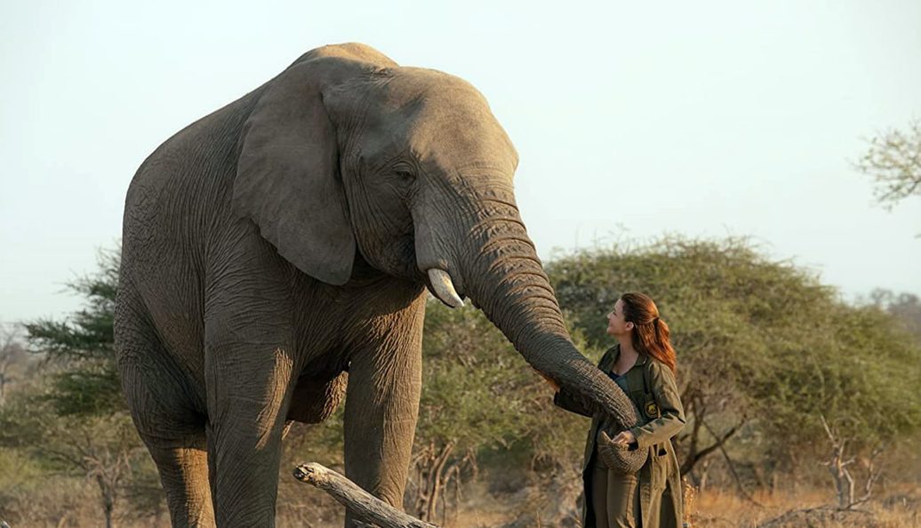 Resgate do Coração (2019), Ernie Barbarash