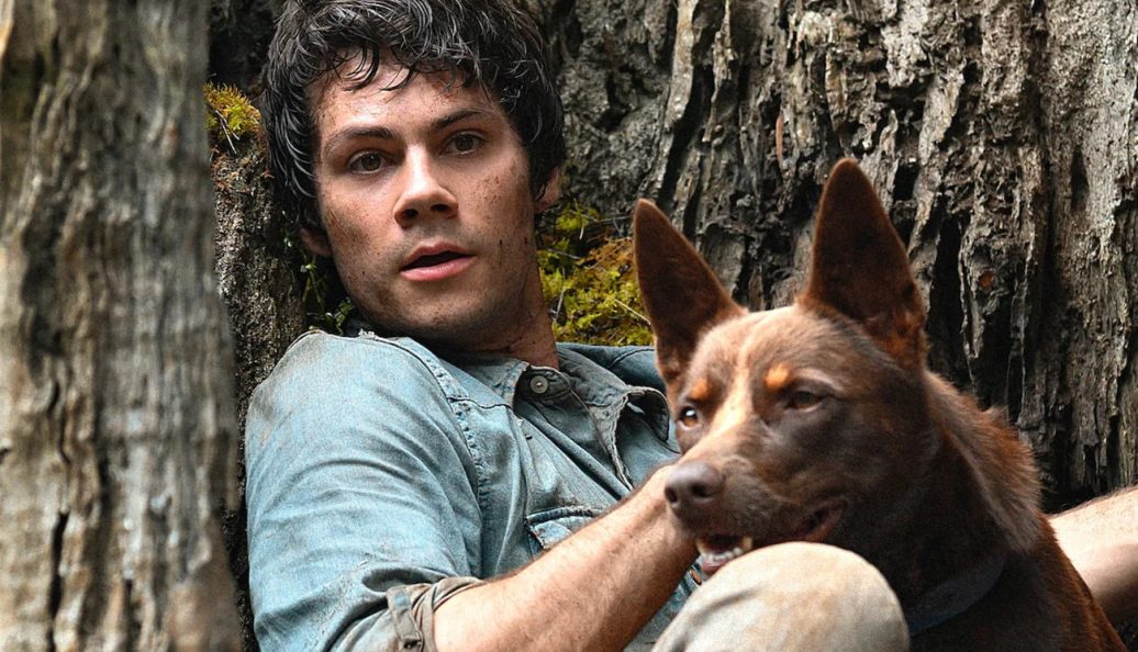 Amor e Monstros (2020), Michael Matthews