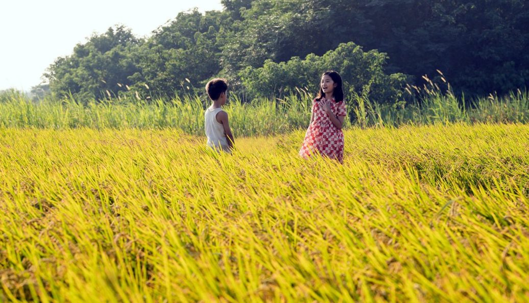 Tigertail (2020), Alan Yang