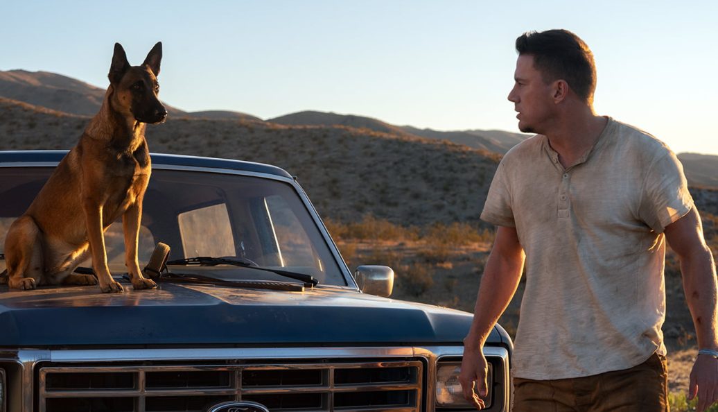 Dog: A Aventura de Uma Vida