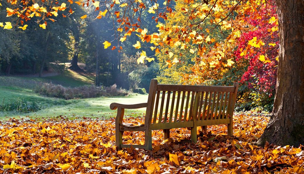 O jardim das finitudes