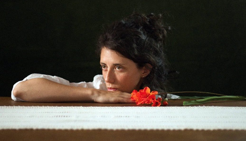 A Metamorfose dos Pássaros