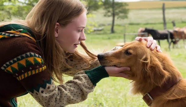 Um dos mais belos e delicados filmes na Netflix vai te fazer rir e chorar