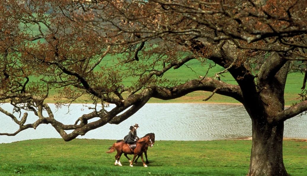 Razão e Sensibilidade