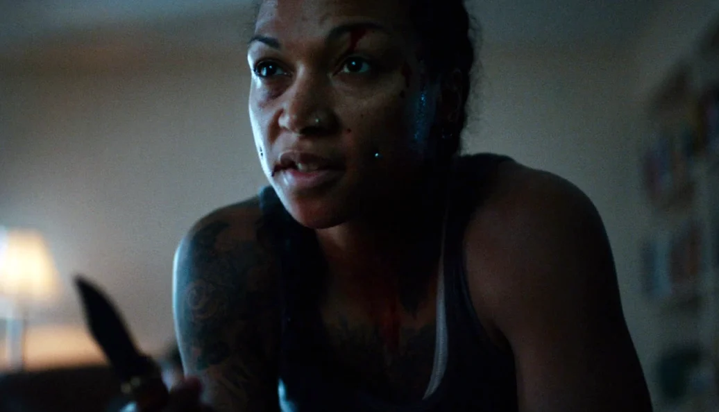 Infiltrada: Golpe de Vingança