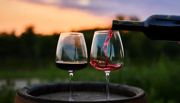 Os 7 melhores vinhos brasileiros em 2023