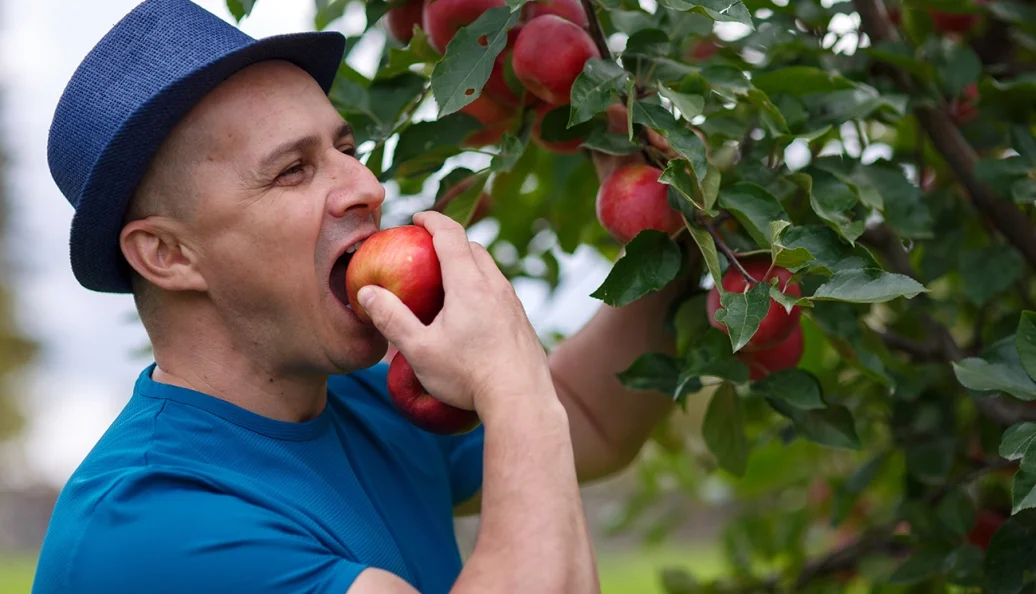Maçã não mata a fome