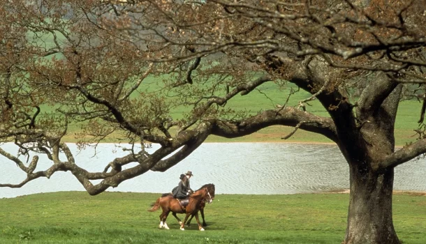 Considerado o livro perfeito e amado pelos leitores de Jane Austen, romance na Netflix vai tocar cada pedacinho do seu coração