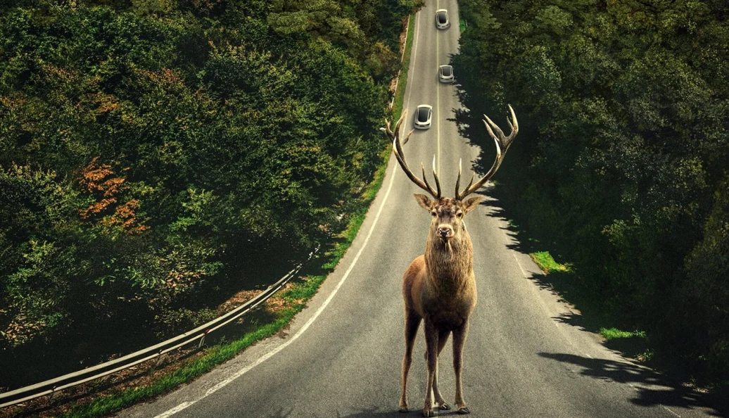 O Mundo Depois de Nós (2023), Sam Esmail
