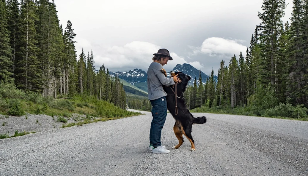Destino > Felicidade
