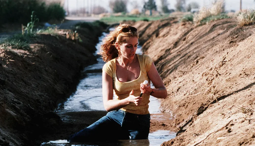 Erin Brockovich — Uma Mulher de Talento