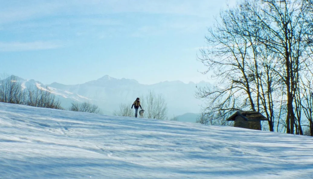 Anatomia de uma Queda