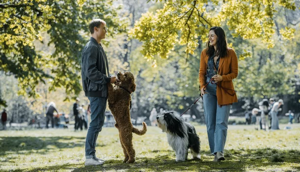 Comédia romântica alemã que acaba de chegar à Netflix é diversão garantida e dose de ânimo para sua semana