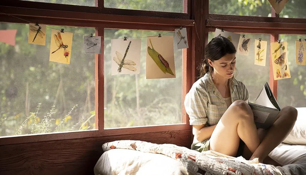 Um Lugar Bem Longe Daqui