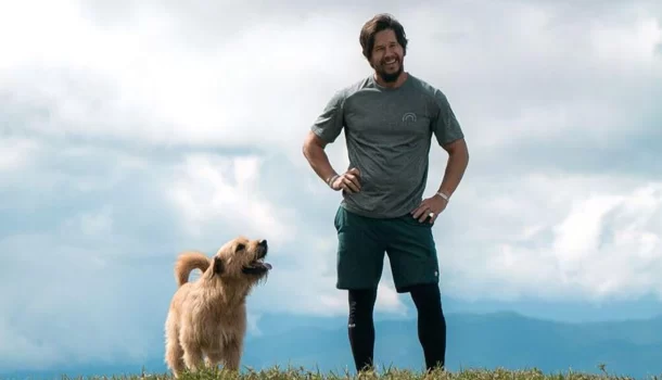 No Prime Video: a inspiradora história real do vira-lata que mudou a vida de um homem